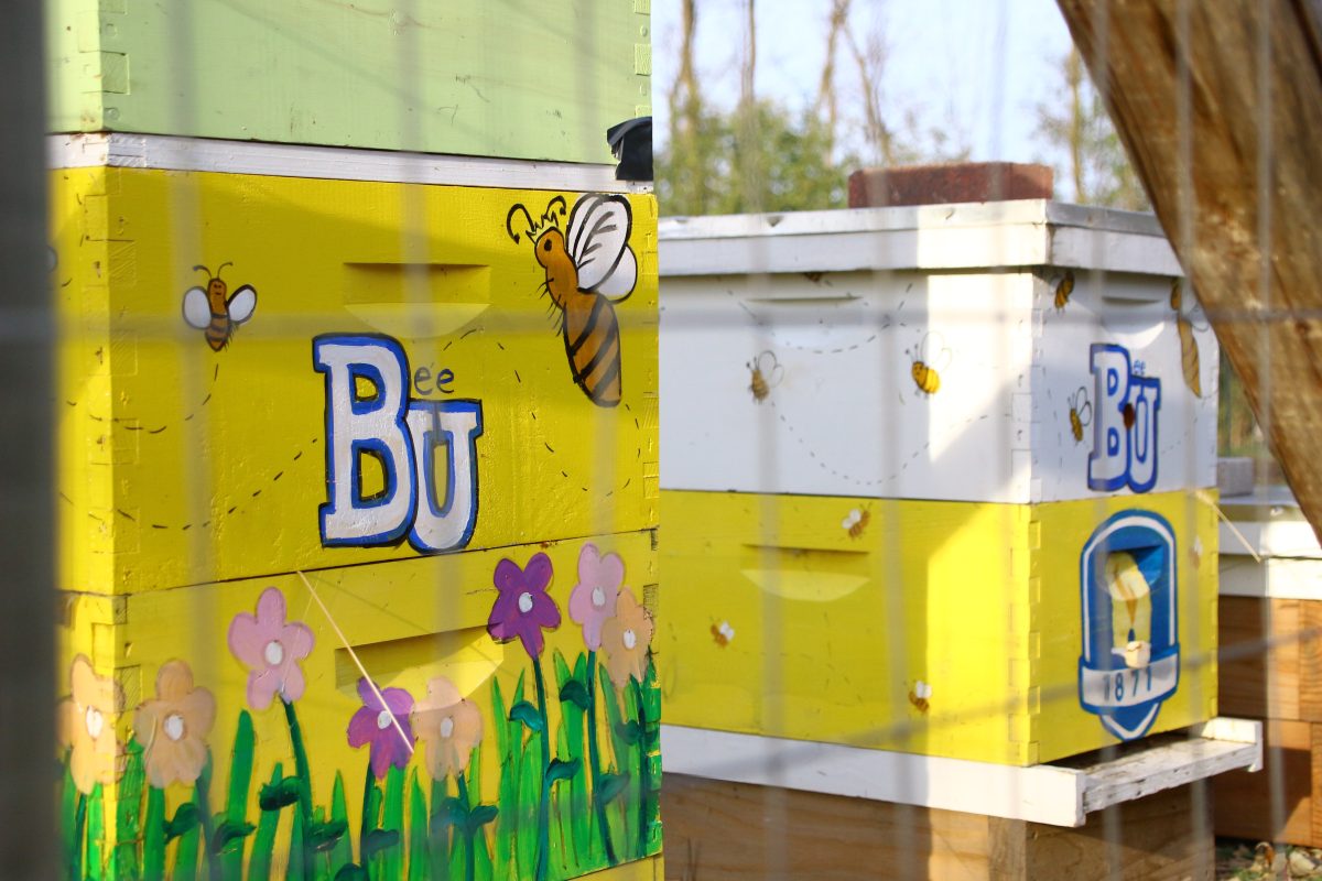 Bethel’s bees: The Royal Honey Hive
