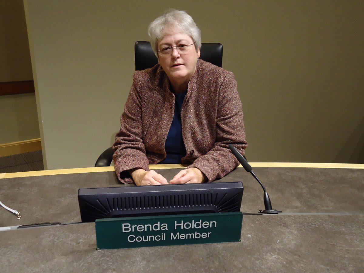 Arden Hills City Council Candidate: Brenda J. Holden