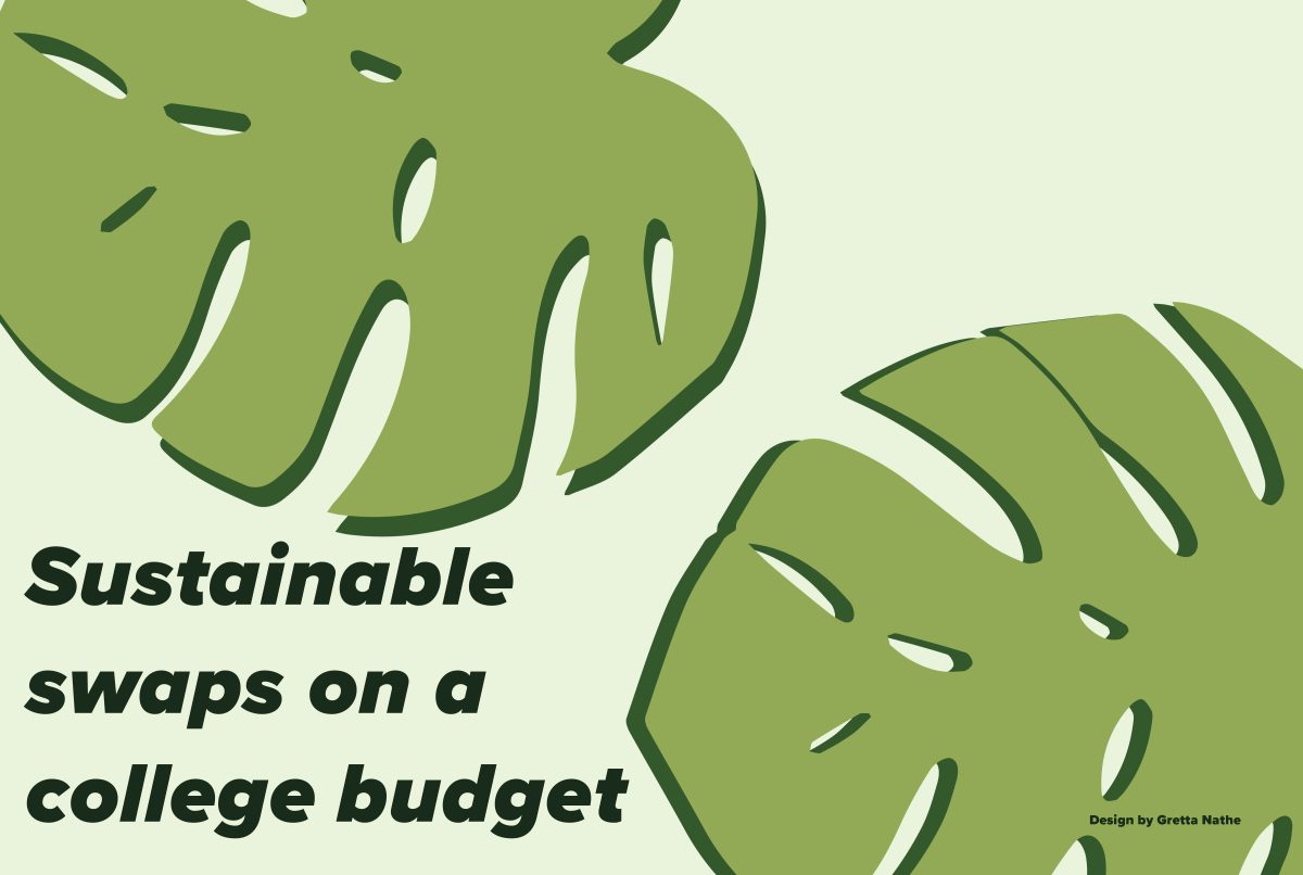 Sustainable swaps on a college budget
