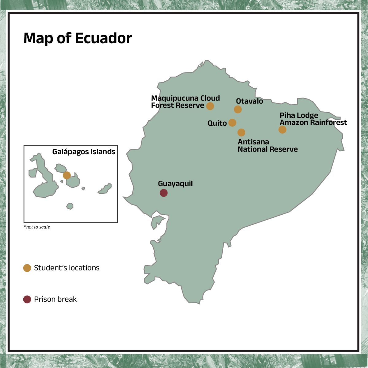 EcuadorInsta4andWebGraphic